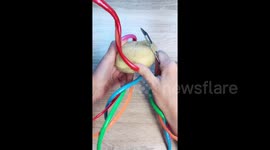 How to cook when you have the longest nails in Russia