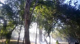 Violent protest continue to arise in Colombia