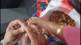Smuggler caught trying to sneak almost £50,000 out of India in peanuts and biscuit packets