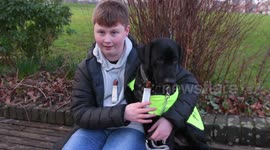 Pet dog joins fight against pollution by wearing device that monitors air quality