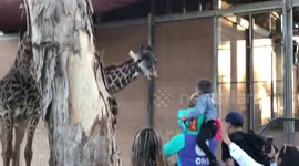 Kids Feed Giraffe Out side the cage