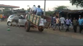 Reckless ox cart drivers crash their cattle into parked car in south India