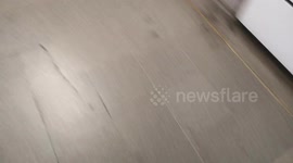 Valentines Day Gets Off To A Bloody Start