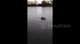 BMW owner watches helplessly as prized car floats down River Thames