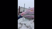temp