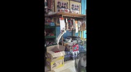 Pet cat steals dried squid from shop shelves