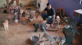 Indian man builds shelter and cares for over 400 abandoned and abused animals