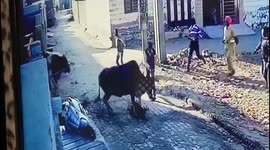 Boy only suffers minor injuries despite being trampled by rampaging bull in India