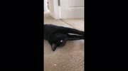 temp