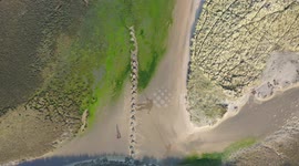 WWII anti-tank beach defences in UK transformed into giant rock-climbing artwork