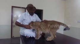 Mechanic to Messiah: This man has rescued over thousands of wild animals in Rajasthan