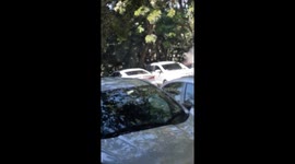 New Toyota Yaris set on fire during protest