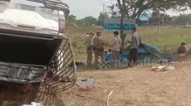 Pickup truck crashes spilling dozens of crocodile carcasses onto roadside