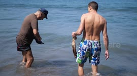 Guy caught the octopus on beach at Martinique island