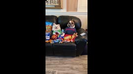 There’s always that one innocent sibling.