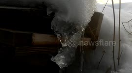 A wild house to stay for a while