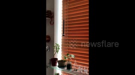 3DBrooklyn - Quick Blinds