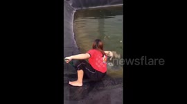 Thai college student rescues dog trapped in water pond