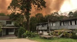 Wildfires continue raging in Thailand as PM orders water to be dumped by air