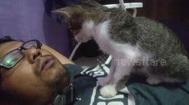 Cuddle With the Strainger Cat