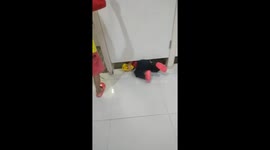 He enter fitting room make me laught