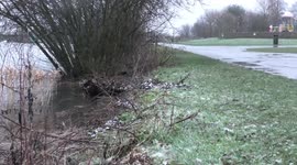 Snow has arrived at Chasewater Country Park in Staffordshire UK