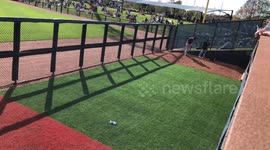 Yankees vs Rays Bullpen Session