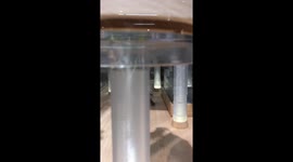 Discovering a tiny world in a book store