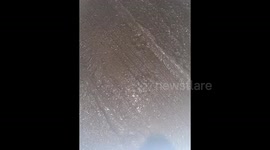 BEAST OF BODMIN PRINT FOUND AND GROWL RECORDED