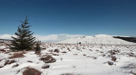 Time Lapse - Winter Wonderland