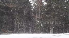 90 kmph winds and blizzards in the Black Forest as Storm Bianca hits Germany Part 2