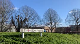 UK's Cambridge University slammed after putting nets on trees