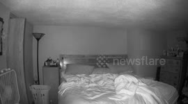 Every night after 6pm these Orbs come out to say hi!