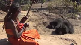 Hermit in India is able to call bears to him with Hindu chants