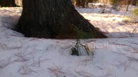 children and parents