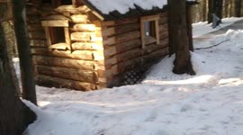 a woden house  in the forest good to stay all year round