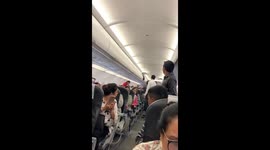 Stowaway pigeon gets Indian cabin crew in a flap