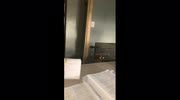 temp