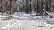 temp