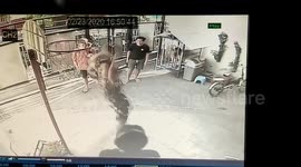 Boys Prank Their Friend With Scary Guard Dog