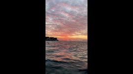 Surprise close encounter with a big shark!