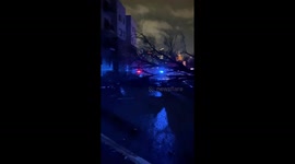 Tree and debris scattered across road in Germantown after tornado batters Nashville, Tennessee