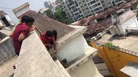 Lost puppy rescued from apartment ledge after being trapped for two days