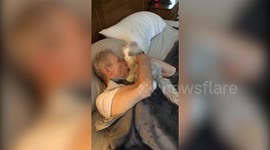 ‘He hasn’t lost his love of animals’: Elderly US man with Alzheimer's finds comfort in robot cat