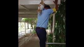 People Saving Cats