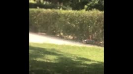 Kids Failing At Things Hilariously