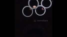 Oddly Satisfying Compilation 2