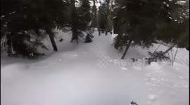 Forest skiing needs 9 ayes 