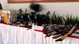 Thai police seize hundreds of guns being sold illegally in wake of mass shootings