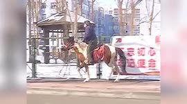 Man in north China stopped by police after riding horse to buy groceries for friend
